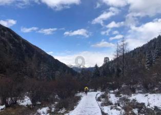 寻找遗失的手提包